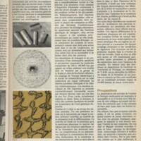 Le courrier du CNRS 16