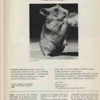 Le courrier du CNRS 4