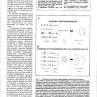 courrier cnrs 55-56_Page_57.jpg