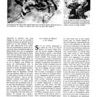 courrier cnrs 49_Page_40.jpg