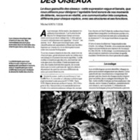 courrier cnrs 64_Page_44.jpg