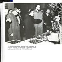 Cahiers pour l'histoire du CNRS 8