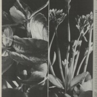 Le courrier du CNRS 28