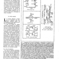 courrier cnrs 49_Page_28.jpg