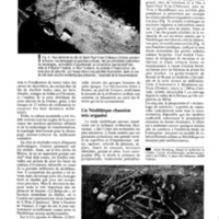 courrier cnrs 73_Page_23.jpg
