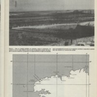 Le courrier du CNRS 29