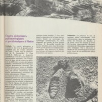 Le courrier du CNRS 11