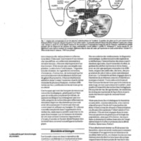 courrier cnrs 64_Page_56.jpg