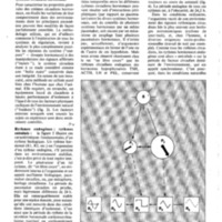 courrier cnrs 57_Page_26.jpg