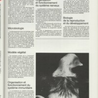 Rapport CNRS 1981-1982