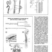 courrier cnrs 55-56_Page_28.jpg