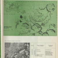 Le courrier du CNRS 22