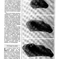 courrier cnrs 52-53_Page_31.jpg