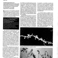 courrier cnrs 61-62_Page_70.jpg