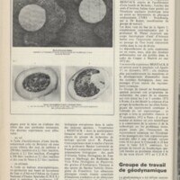 Le courrier du CNRS 7