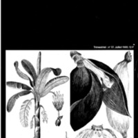 37_Page_01.jpg