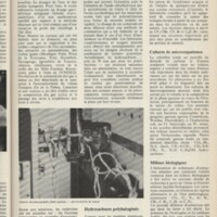 Le courrier du CNRS 7