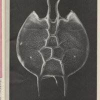 Le courrier du CNRS 24