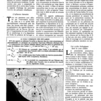 courrier cnrs 46_Page_48.jpg