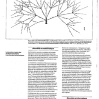 courrier cnrs 64_Page_54.jpg