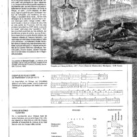 courrier cnrs 65_Page_13.jpg