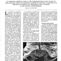 courrier cnrs 55-56_Page_25.jpg