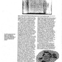 courrier cnrs 60_Page_49.jpg