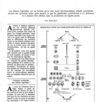 courrier cnrs 50_Page_29.jpg