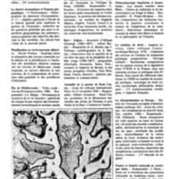 courrier cnrs 44_Page_47.jpg