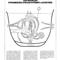 courrier cnrs 72_Page_049.jpg