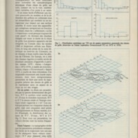 Le courrier du CNRS 31