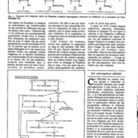 courrier cnrs 52-53_Page_60.jpg