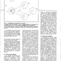 courrier cnrs 55-56_Page_55.jpg