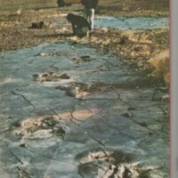 Le courrier du CNRS 3