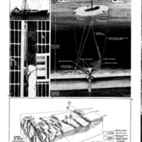 courrier cnrs 46_Page_17.jpg