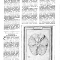 courrier cnrs 55-56_Page_14.jpg