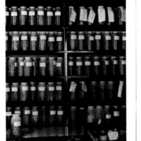 courrier cnrs 47_Page_34.jpg