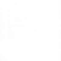 Cahiers pour l'histoire du CNRS 4