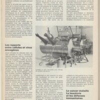 Le courrier du CNRS 4