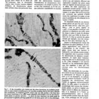 courrier cnrs 41_Page_23.jpg