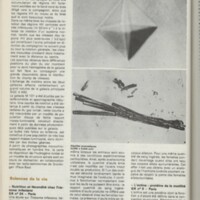 Le courrier du CNRS 27