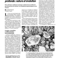 courrier cnrs 76_Page_035.jpg