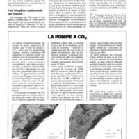 courrier cnrs 72_Page_028.jpg