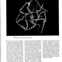 courrier cnrs 74_Page_75.jpg