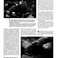 courrier cnrs 72_Page_083.jpg