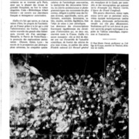 courrier cnrs 47_Page_49.jpg