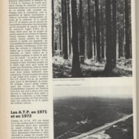 Le courrier du CNRS 4