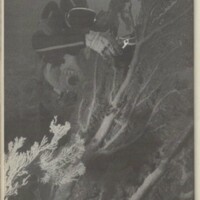 Le courrier du CNRS 29