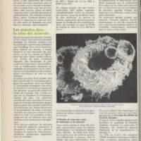 Le courrier du CNRS 10