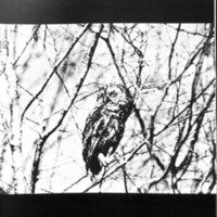 rapport 1970_188.jpg